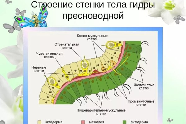 Кракен оф
