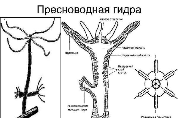 Кракен ссылка 2 веб
