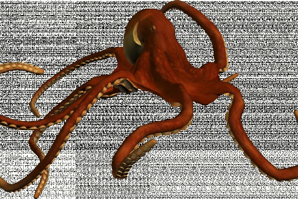 Kraken смылка