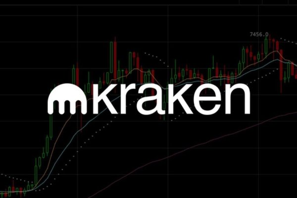 Kraken 24 top