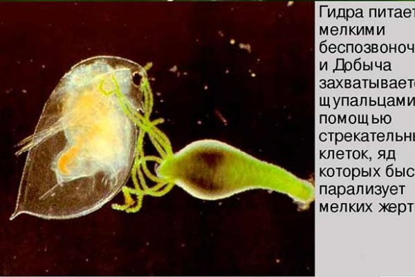 Кракен актуальная ссылка на сегодня
