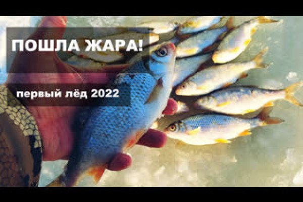 Кракен наркошоп