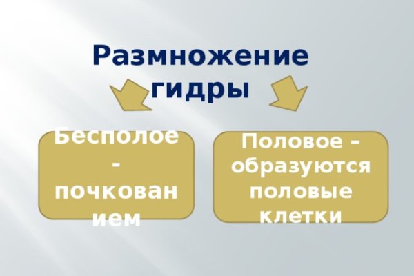 Ссылка на kraken at