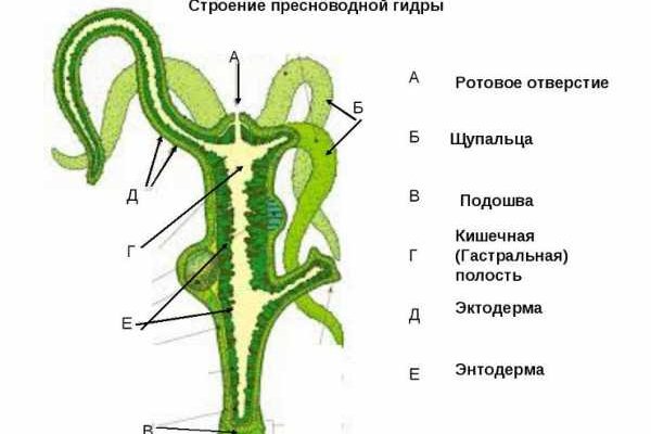 Оригинальные ссылки кракена