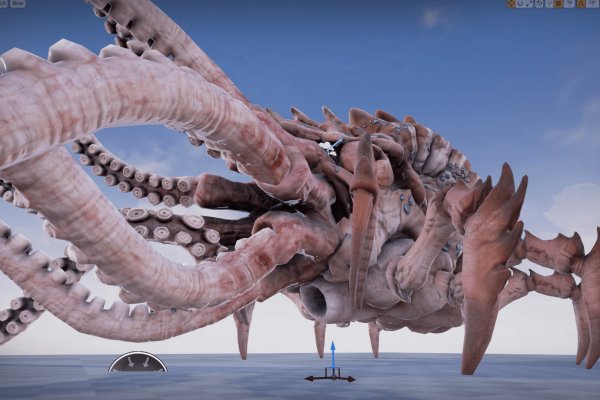 Kraken kraken link24 info