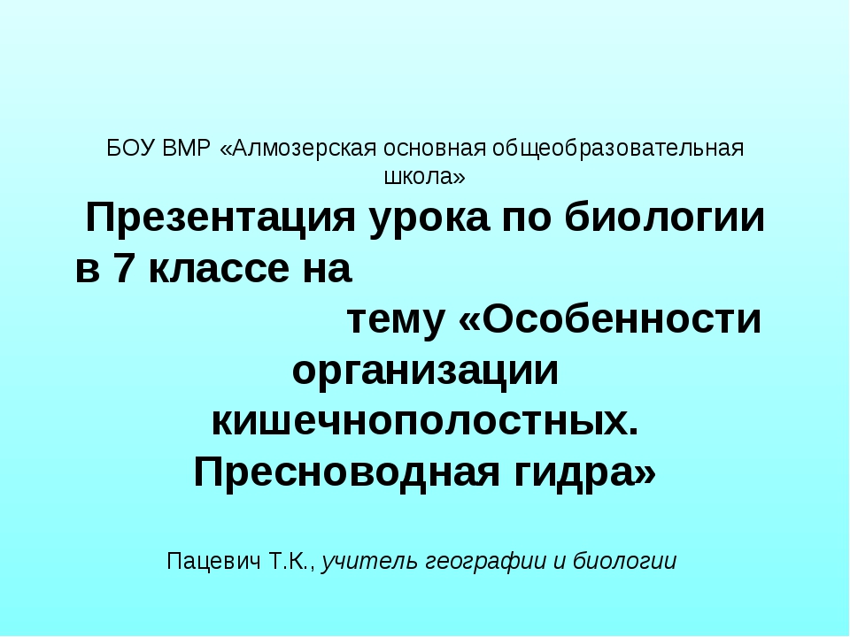 Кракен открылся